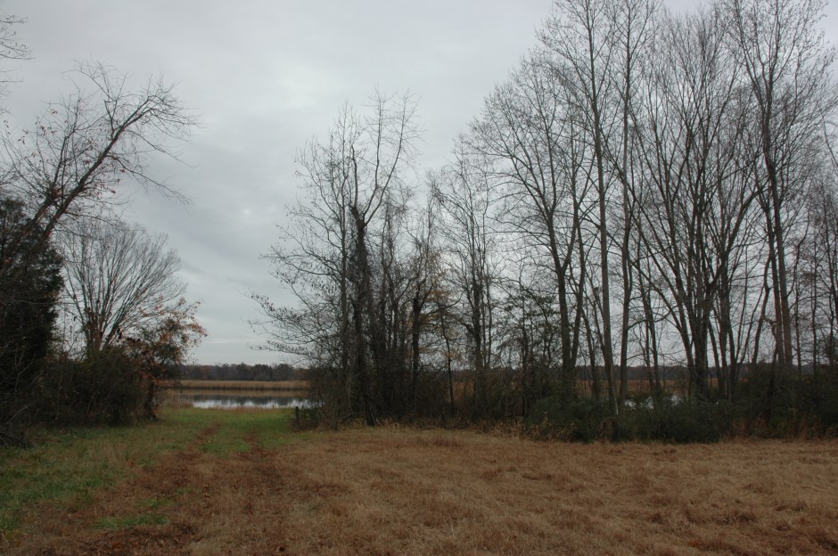 Approach to site of Magruder warehouse, at end of Magruder's Ferry Road. Photo: Margaret Yocom, 2013.