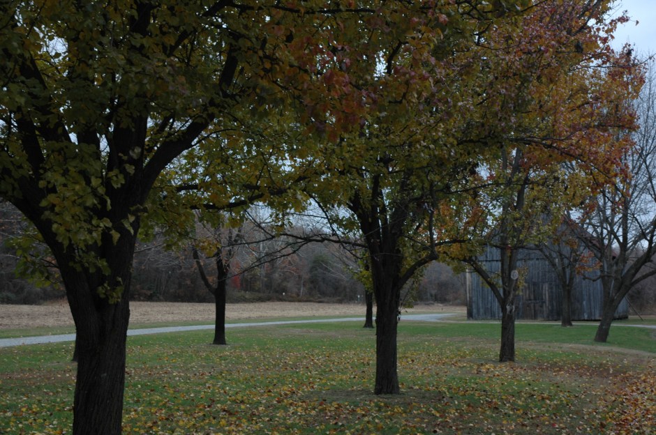 Patuxent River Park. Photo: Margaret Yocom, 2013.