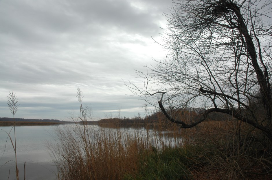 Looking downstream from the boat ramp. Photo: Margaret Yocom, 2013.