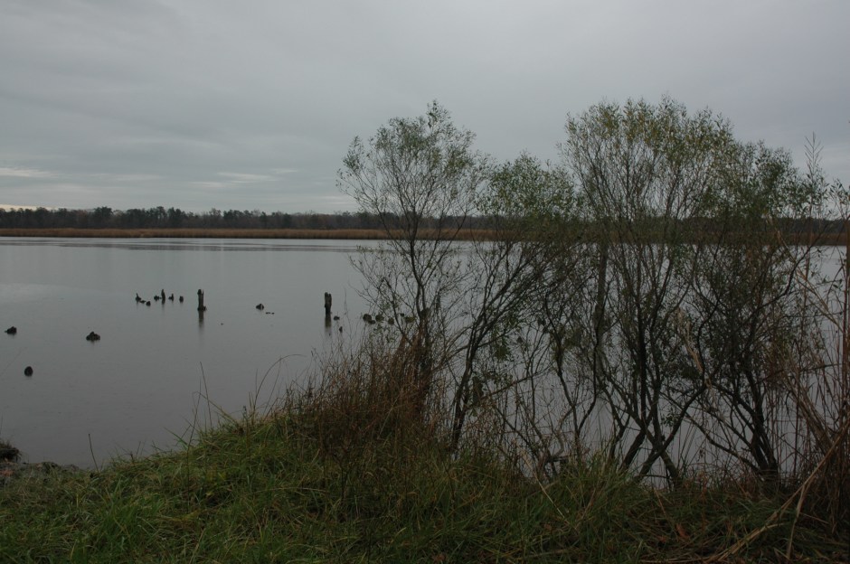 Ruined pier, Magruder's Warehouse site. Photo: Margaret Yocom, 2013.