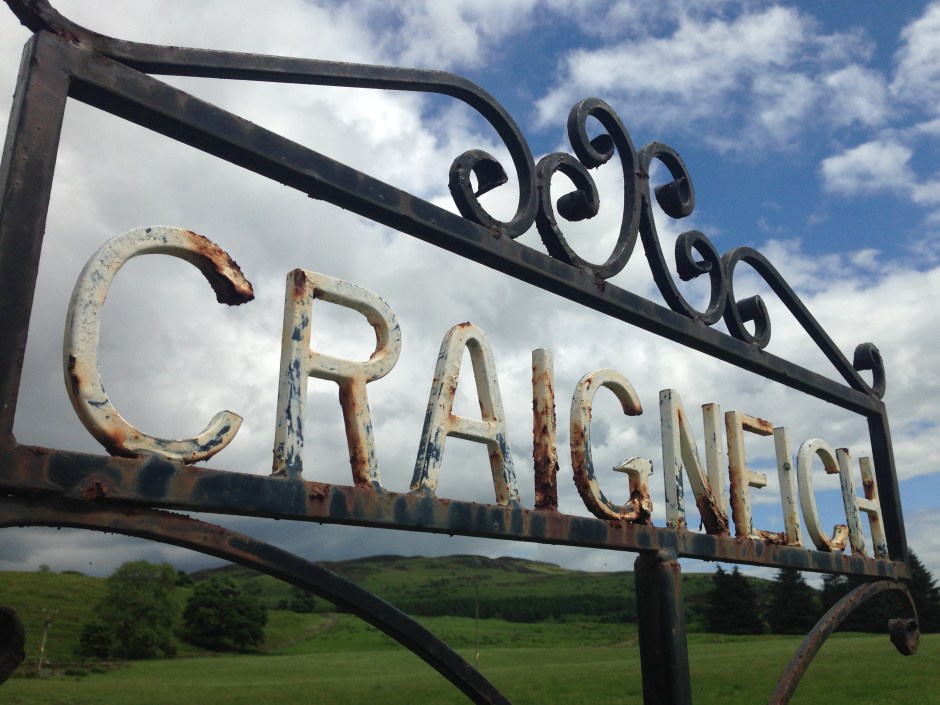 Photo: Brandon Moore-McNew, June 2014.